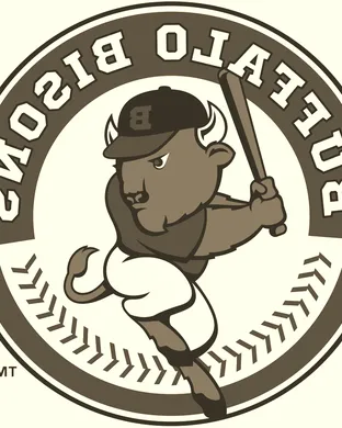 Buffalo Bisons Rochester