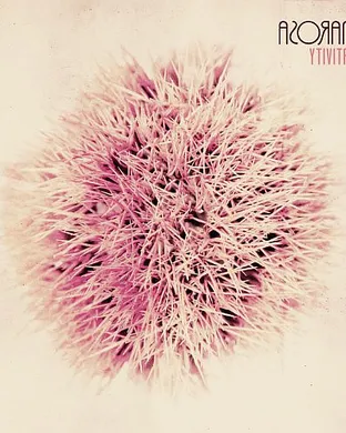 Emarosa Rochester