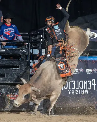 PBR Challenger Series