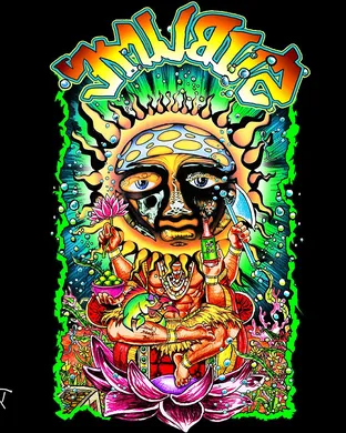 Sublime - Band Canandaigua